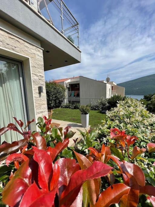 Acacia Hill Apartments Herceg Novi Exterior foto