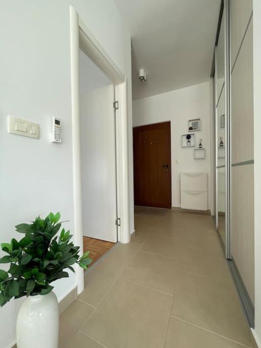 Acacia Hill Apartments Herceg Novi Exterior foto